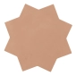 Terracotta Star